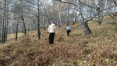 SQZwQW2v0vhdFKuy5LXKdqpicGkk