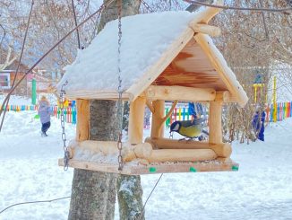 jbpuHw4F95xaBjYWPXjJJzdTyI_uPQNVcC3Ub2TrU0VLPBxHsQvVltgy1oRI6AeBXle4kyomMp5vlLHzI4FwMYDu