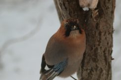 19dypOZA2fDu9eH3dwpd7YkXqy76RZb0GAXFvREO2zLChf2SpYfk8Zj_mRnkp4R7quVU