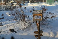 6Srh3zEcalKMg0nJKsl7XSlaXIn_DrIE3CRzghyRuMVI6uOjoaoyYx48zevwX_IBxDkX4UTKVTEQuehm8Z9e4q1e