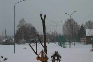 xr1SQg2V8_VptlEzBaOm5BaEJDt