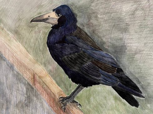 eLa3wOxDEKtj3tjXlT2ThTlYRkzJioRsz6bvbGcC5